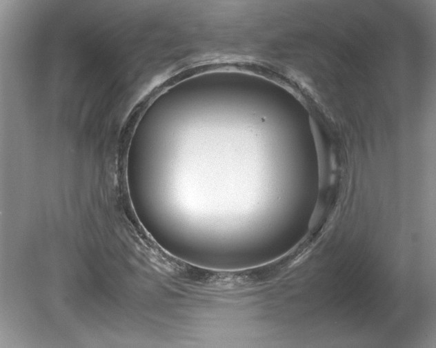 X0000081571165200701221045