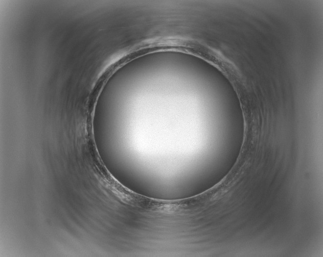 X0000081571166200701221045