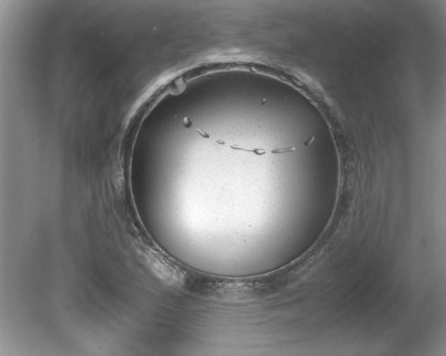 X0000081571167200701221045