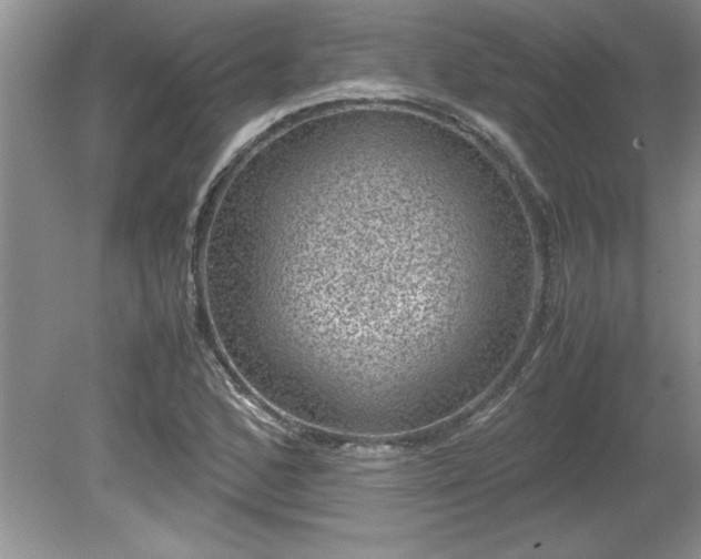 X0000081571168200701221045