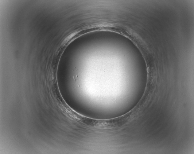 X0000081571169200701221045