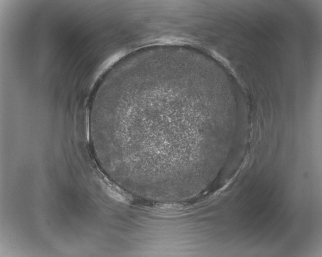 X0000081571171200701221045