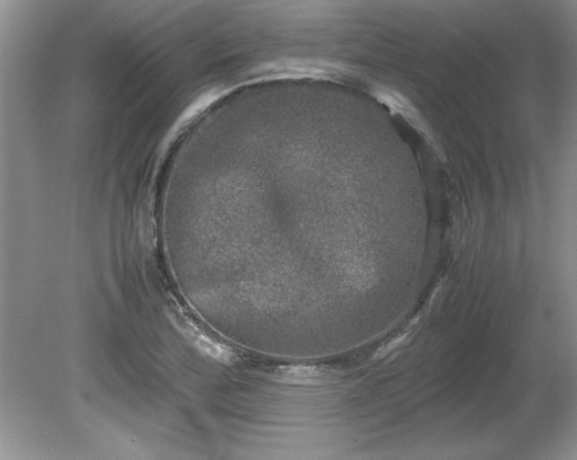 X0000081571172200701221045