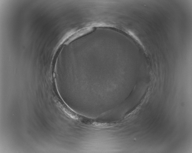 X0000081571173200701221045