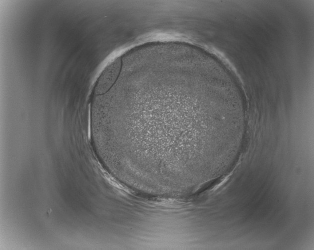 X0000081571175200701221045