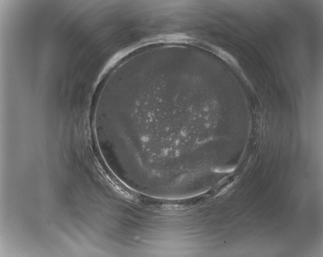 X0000081571176200701221045