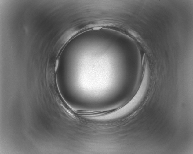 X0000081571177200701221045