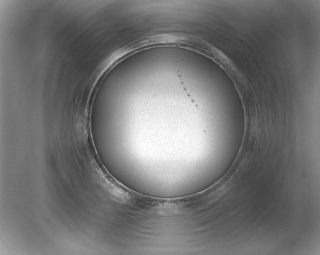 X0000081571178200701221045