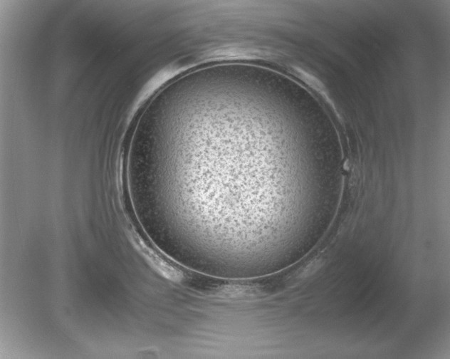 X0000081571179200701221045