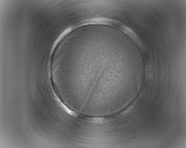 X0000081571180200701221045