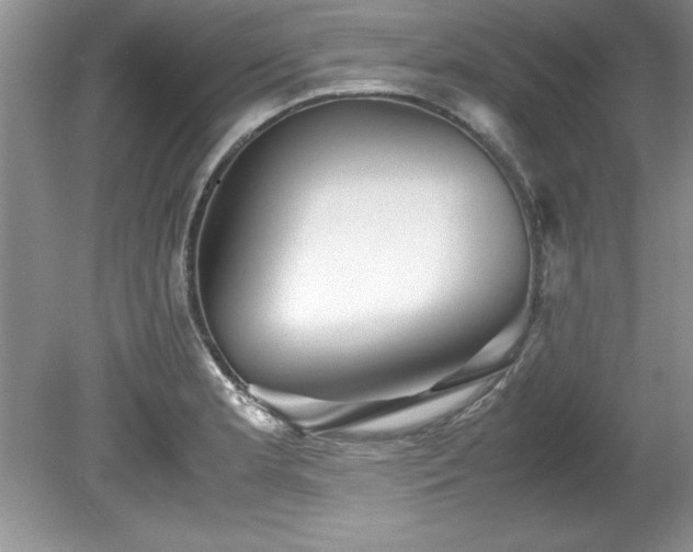 X0000081571181200701221045