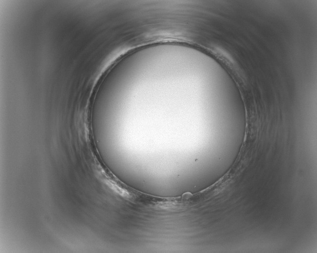 X0000081571182200701221045