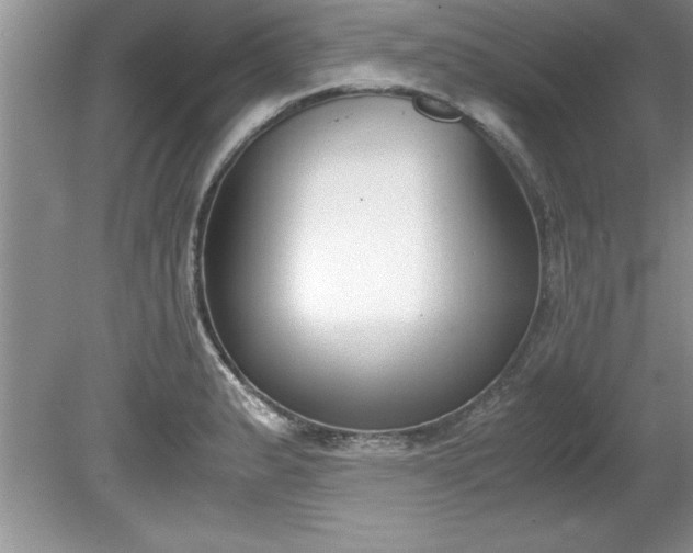 X0000081571183200701221045