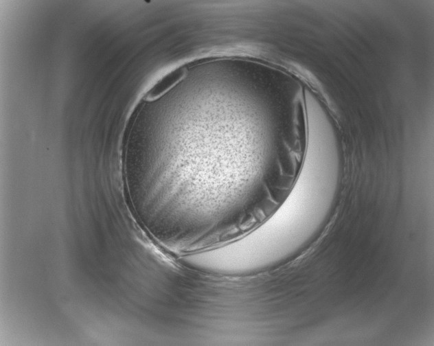 X0000081571184200701221045