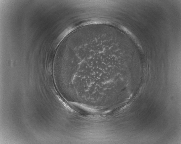 X0000081571185200701221045