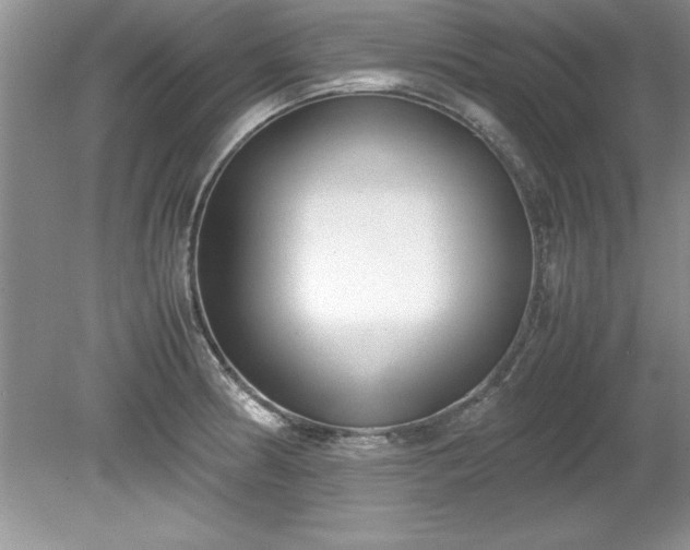 X0000081571186200701221045