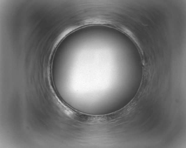 X0000081571187200701221045