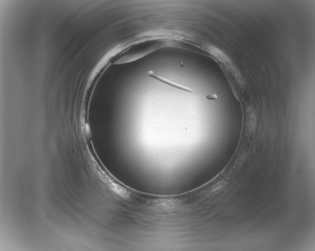 X0000081571188200701221045