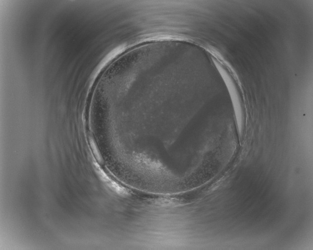 X0000081571189200701221045