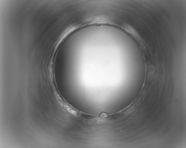 X0000081571190200701221045