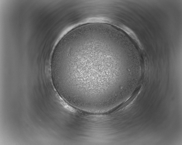 X0000081571192200701221045