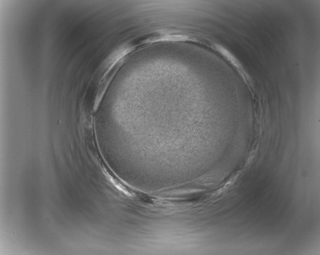 X0000081571193200701221045