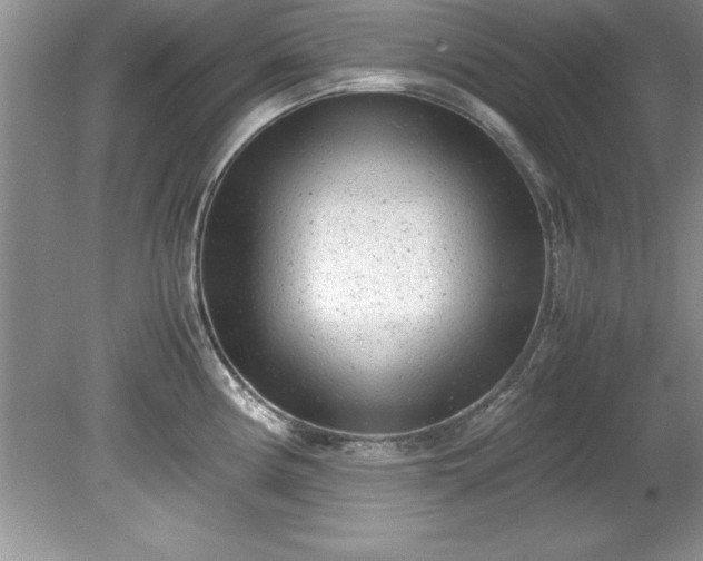 X0000081571194200701221045