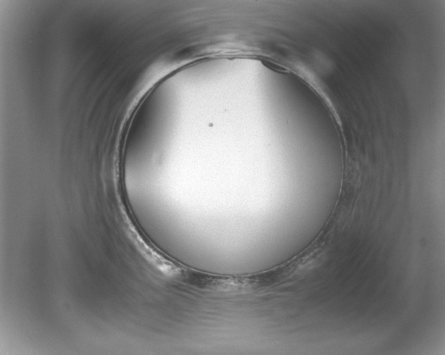 X0000081571195200701221045