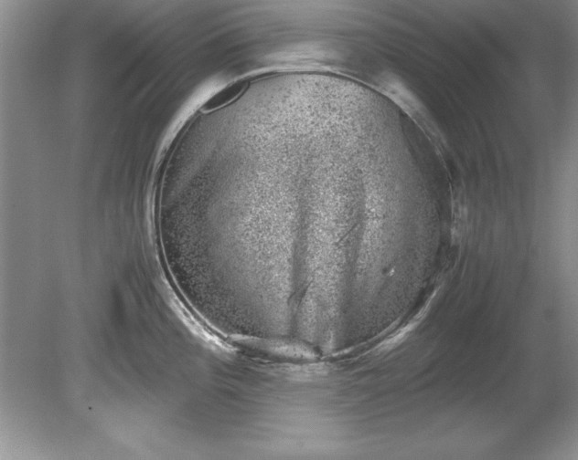 X0000081571196200701221045