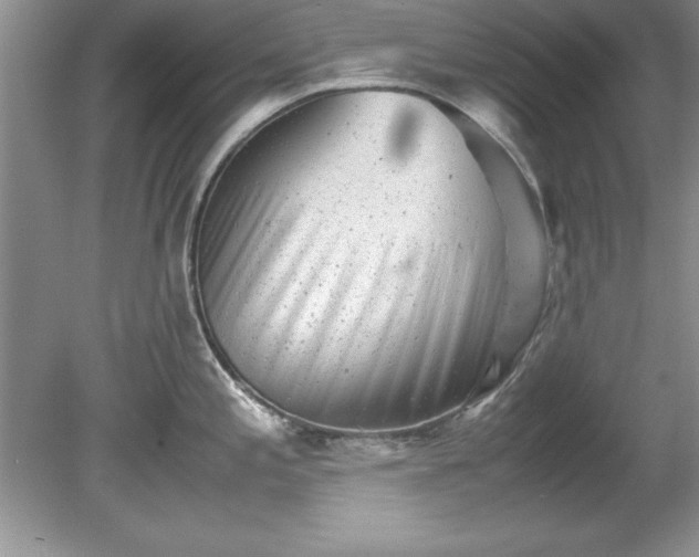 X0000081571197200701221045