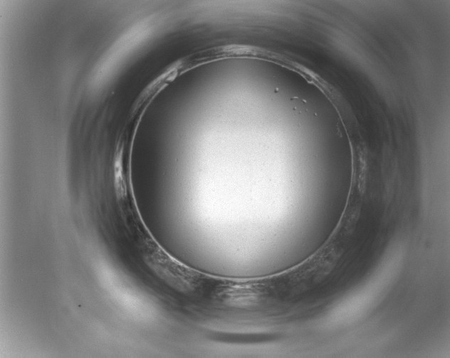 X0000081571198200701221045