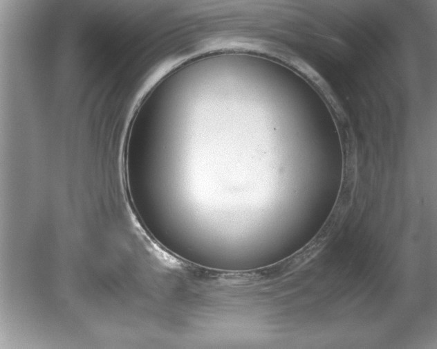 X0000081571199200701221045