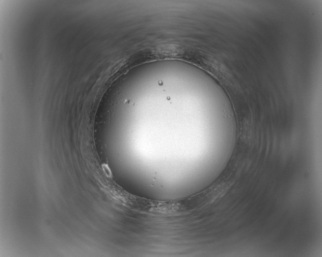 X0000081571201200701221044