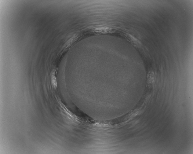 X0000081571202200701221044