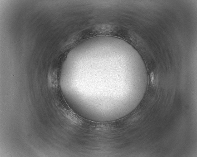 X0000081571203200701221044