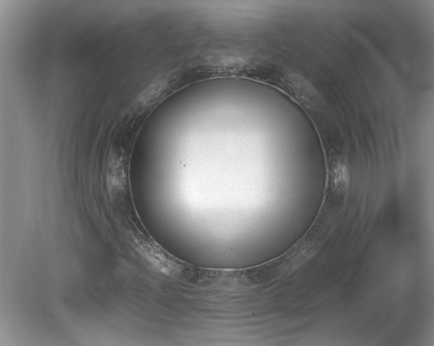 X0000081571204200701221044