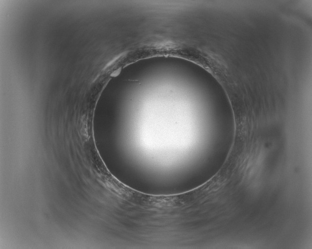 X0000081571205200701221044