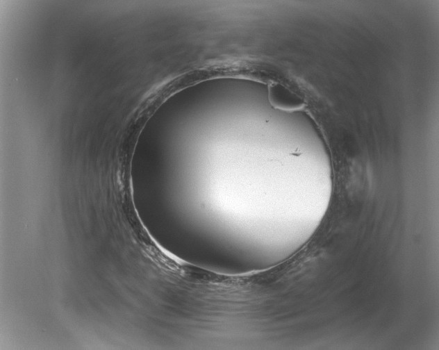 X0000081571206200701221044