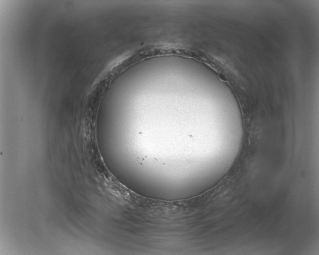 X0000081571207200701221044