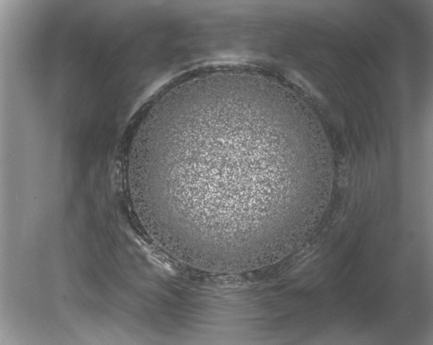 X0000081571208200701221044