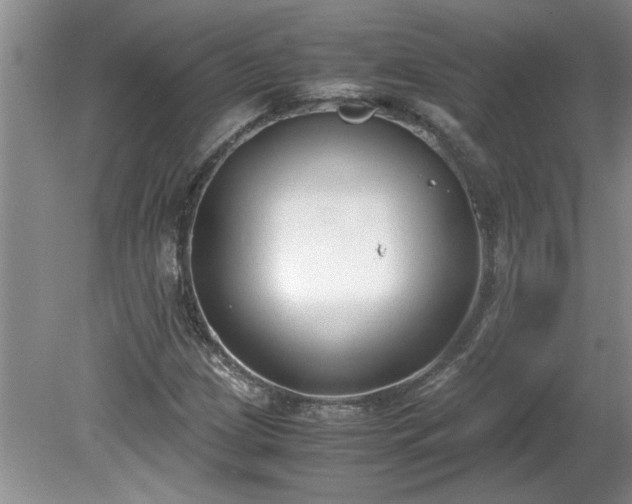 X0000081571209200701221044