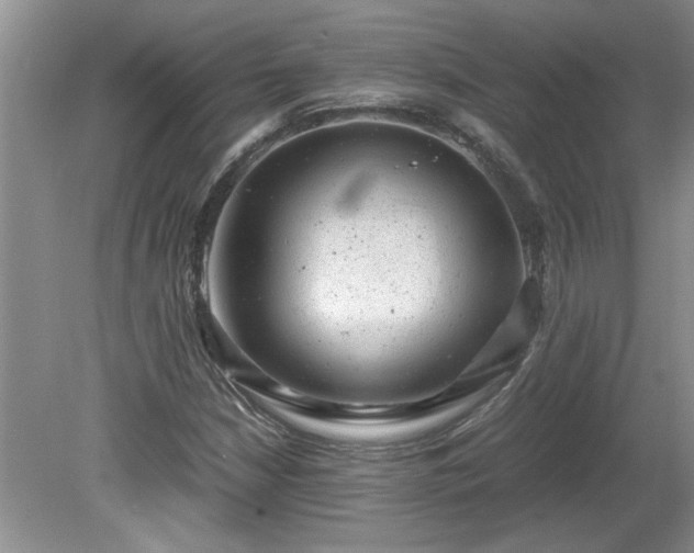 X0000081571210200701221044