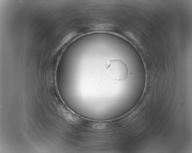 X0000081571211200701221044