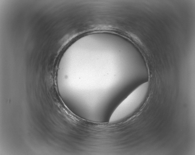 X0000081571212200701221044