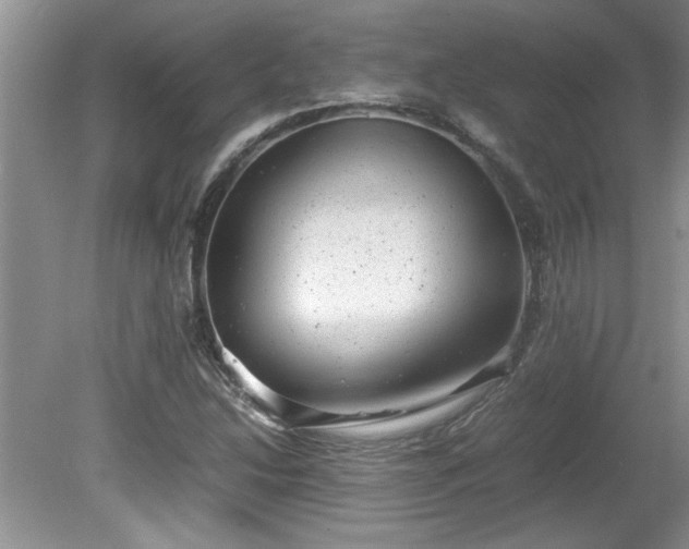 X0000081571214200701221044