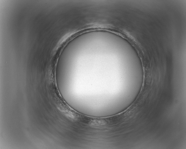 X0000081571215200701221044