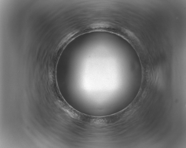 X0000081571217200701221044