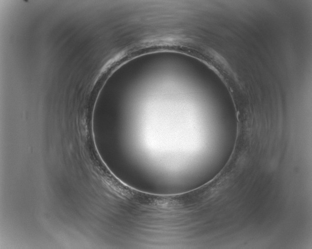 X0000081571218200701221044