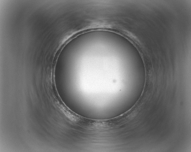 X0000081571220200701221044