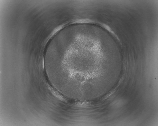 X0000081571221200701221044